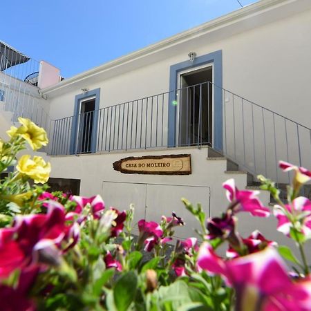 Casa Do Moleiro Apartment Amarante Exterior photo